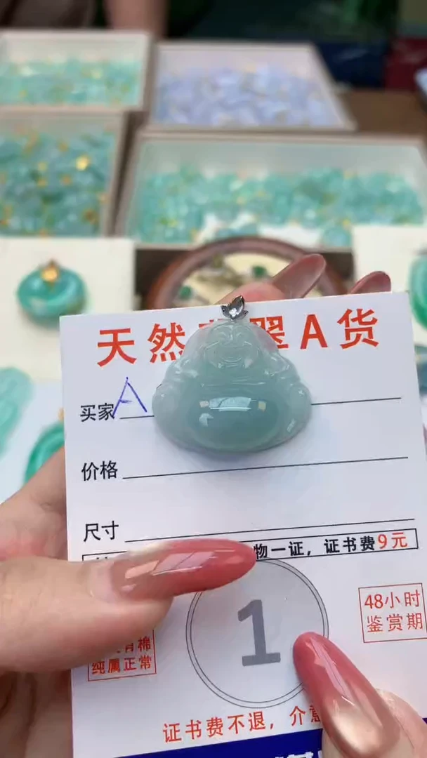 颈饰未镶嵌翡翠天然A货翡翠挂件