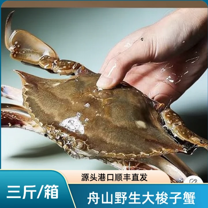 【特大号母蟹】野生梭子蟹三斤 4-6两/只(到手6-7只)舟山海鲜【冻蟹】