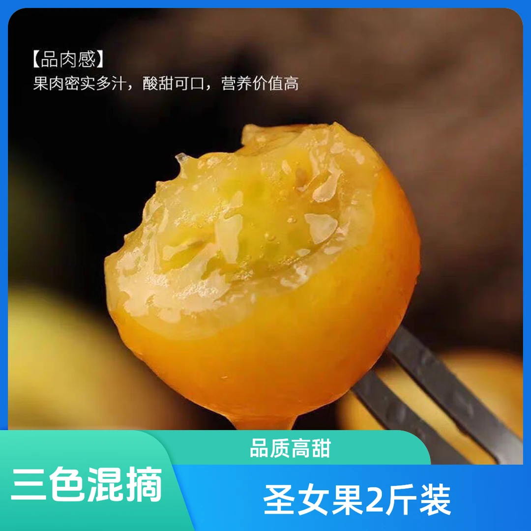 圣女果黄色高品质水果番茄大棚现摘一盒1.5斤（+关注加送半斤试吃）千禧圣女果山东省