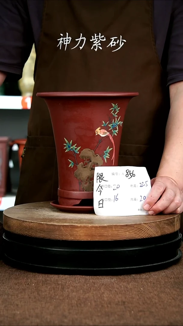 紫砂花盆花卉园艺856+Z