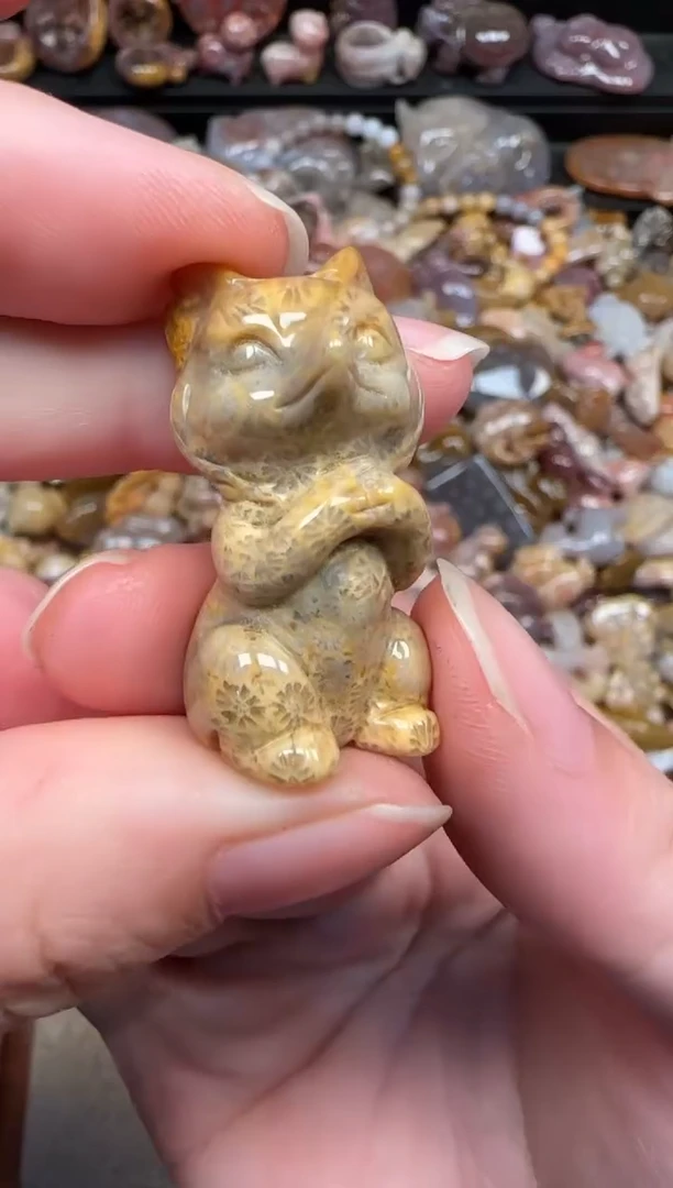 颈饰未镶嵌硅化珊瑚（珊瑚玉）693