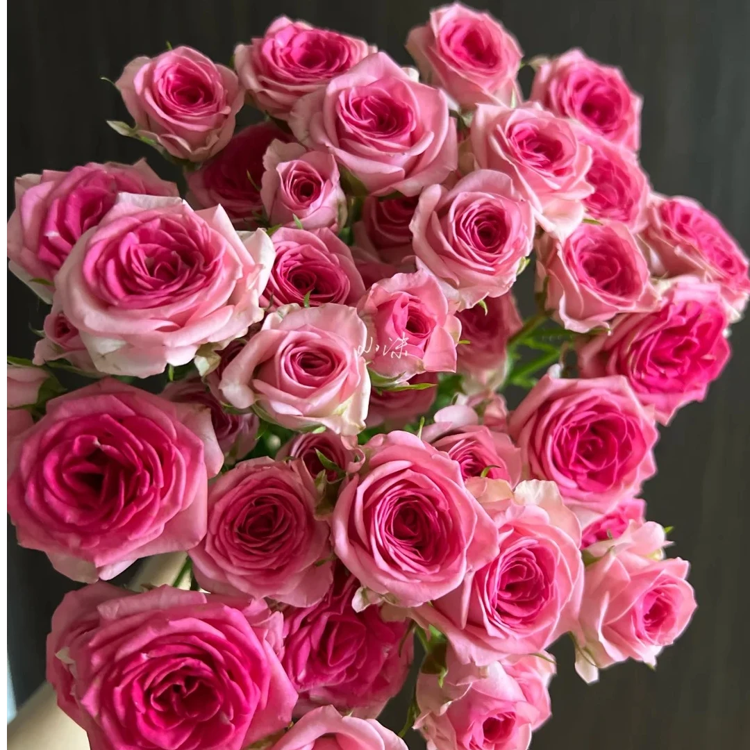 花间小樱【植末-高级多头玫瑰】1单中通包邮，3单顺丰冷链