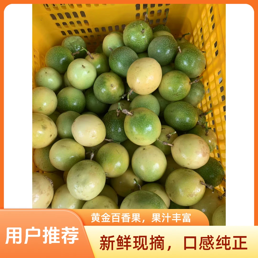 徐闻钦密9号黄金百香果A级特大果现摘现发当季百香果坏果包赔
