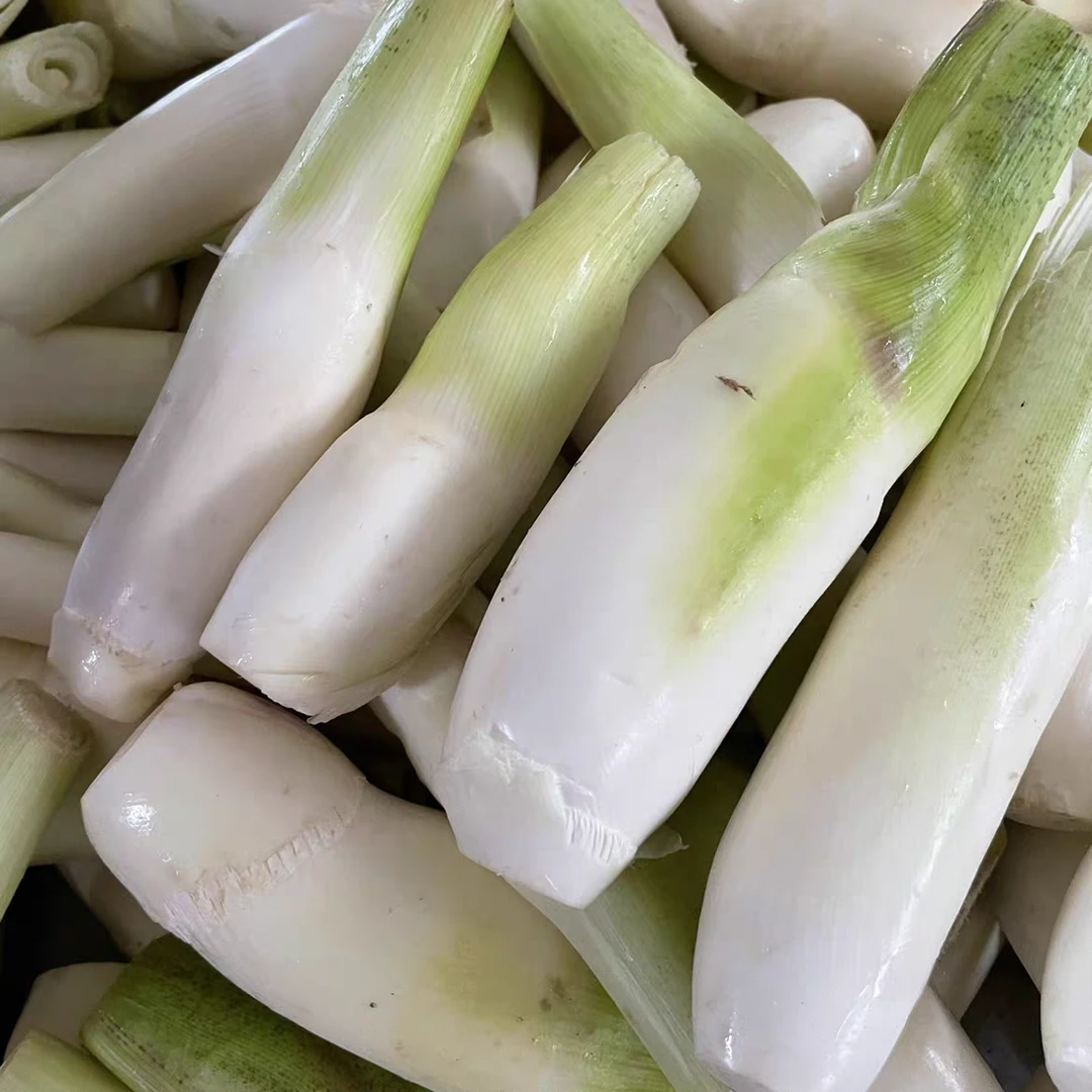 茭白高笋当季农家蔬菜茭儿菜孕妇宝宝辅食交白时令蔬菜