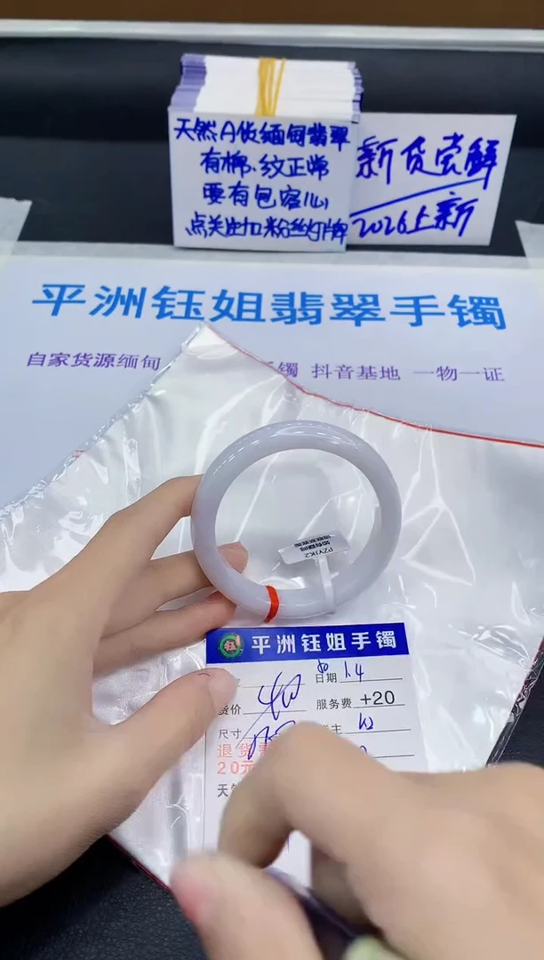 未镶嵌手镯翡翠11111