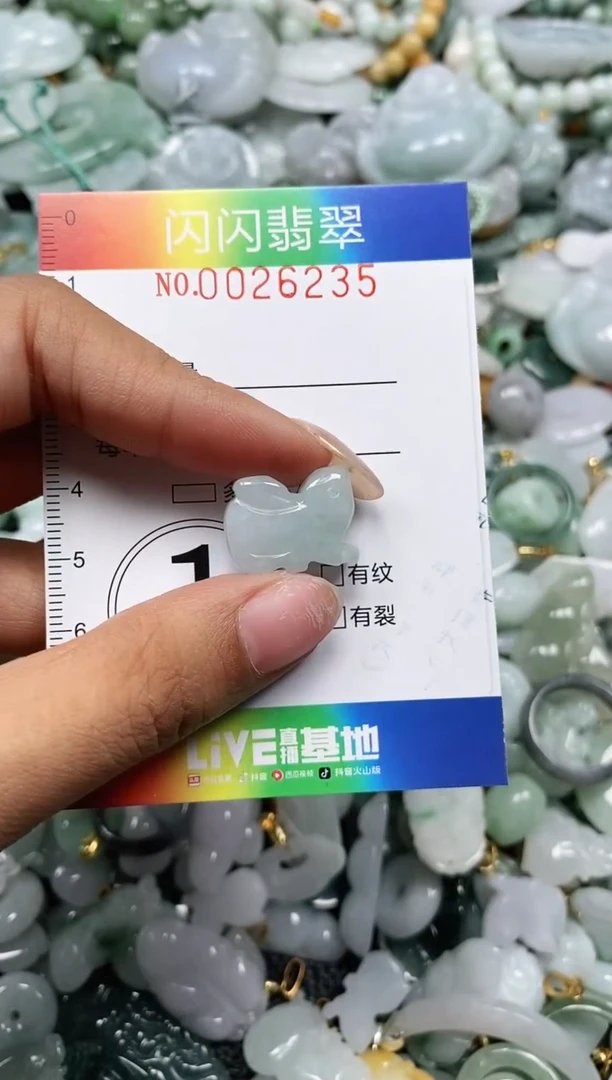 翡翠未镶嵌颈饰闪购0026235