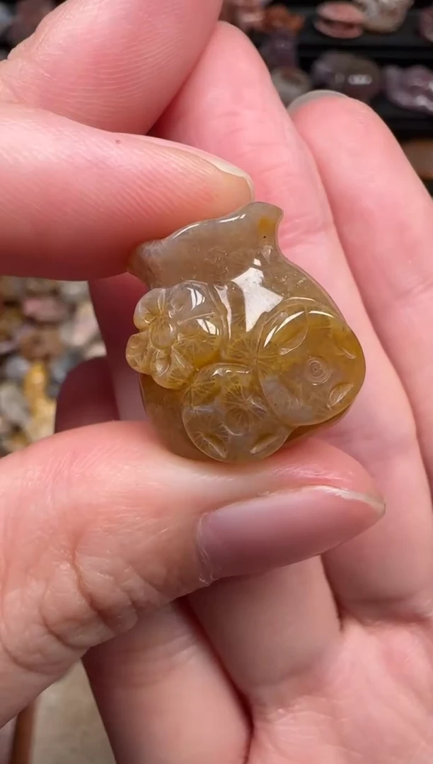 颈饰未镶嵌硅化珊瑚（珊瑚玉）372