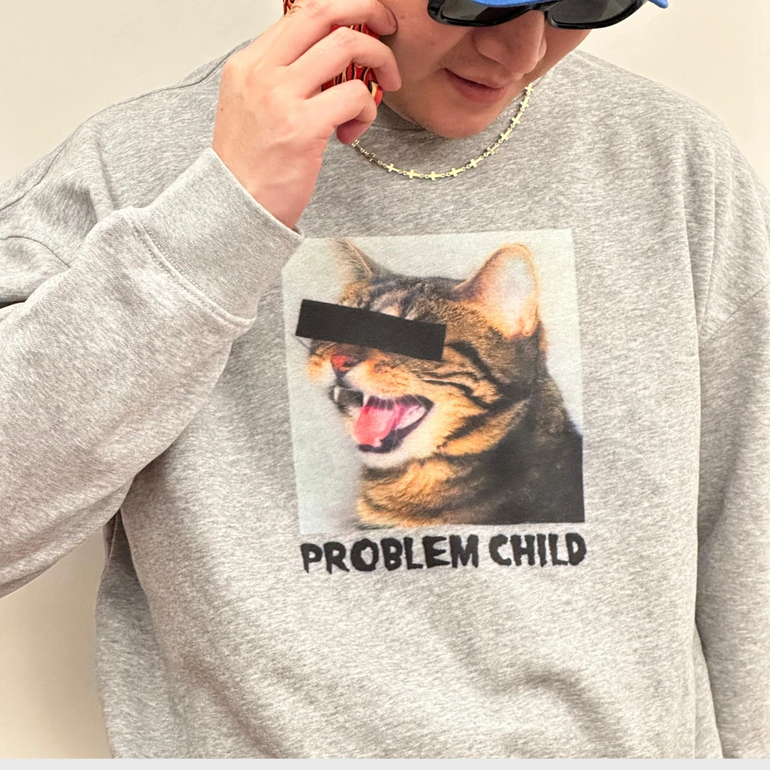 盗版艺术家 猫咪哈基米照片长袖圆领圈卫衣