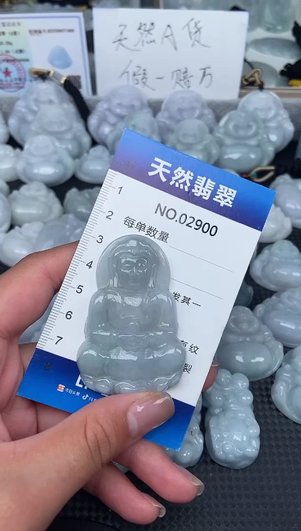 颈饰未镶嵌翡翠纯天然A货翡翠2900