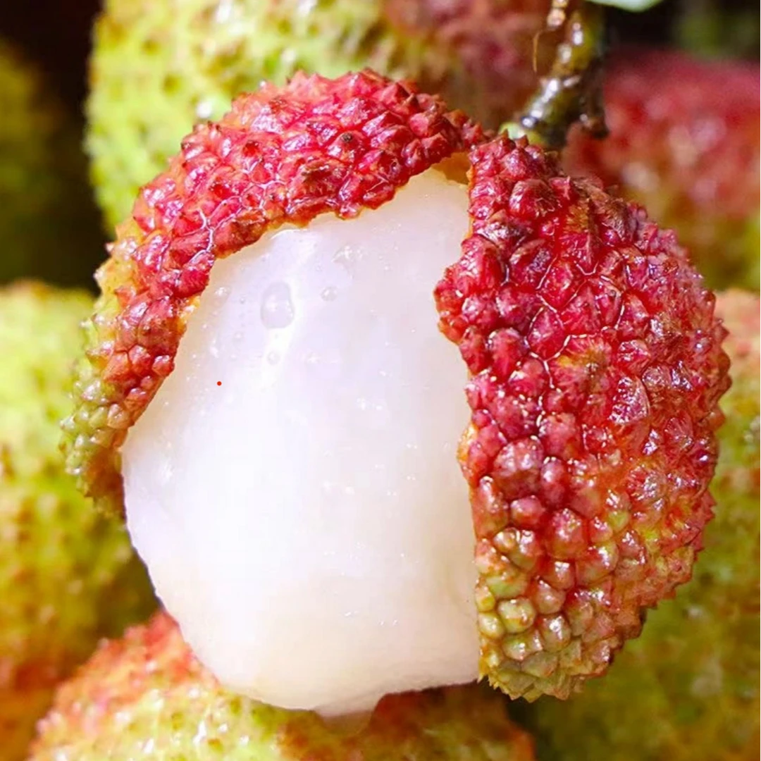 【顺丰冷链】广西浦北妃子笑荔枝清甜多汁当季新鲜水果现摘现发