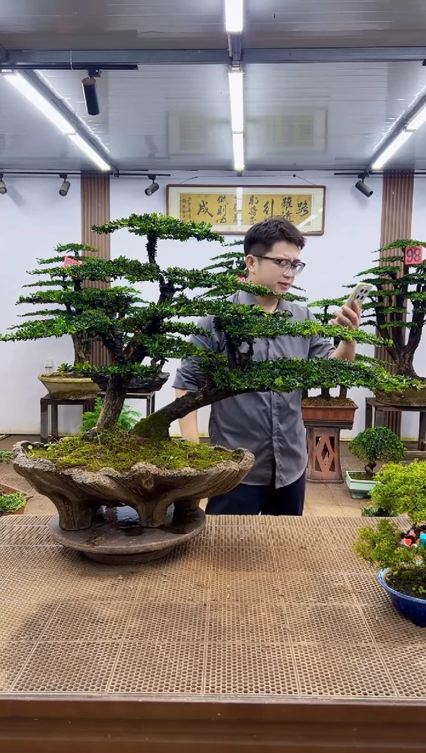 无花朵一物一拍，所见即所得