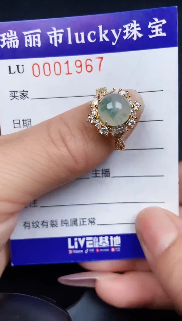 翡翠银S925镶嵌颈饰1967