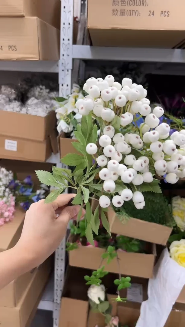3枝白色蔓越莓果子