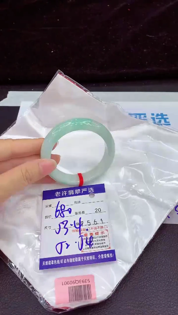 未镶嵌手镯翡翠1