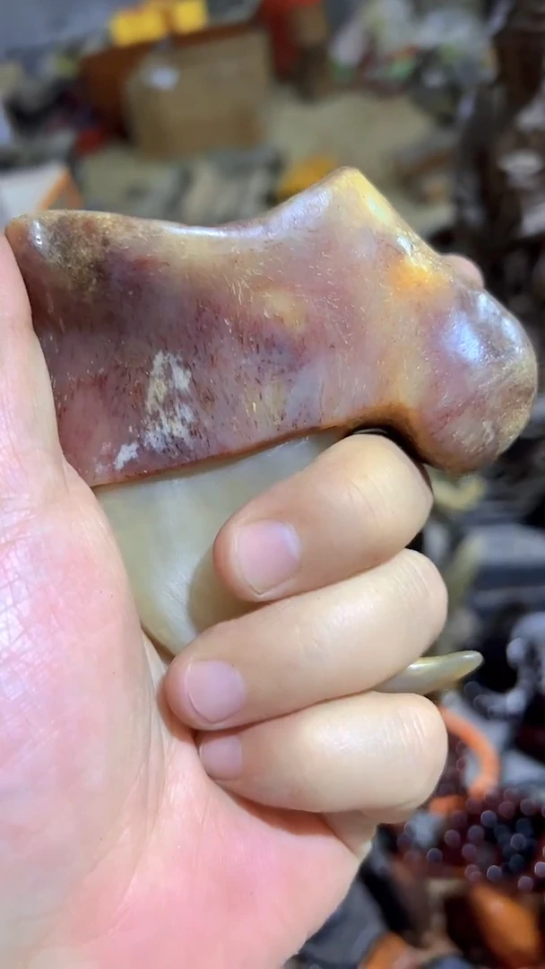 紫砂紫砂紫砂紫砂