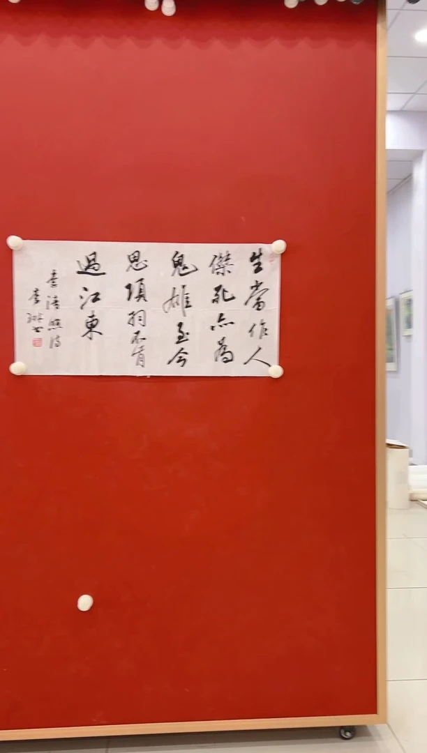 【闪购商品】书法李琳         书法   2平尺