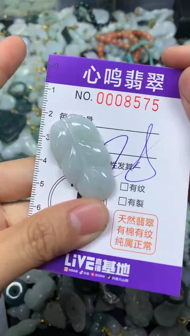 【闪购商品】翡翠颈饰未镶嵌闪购008575