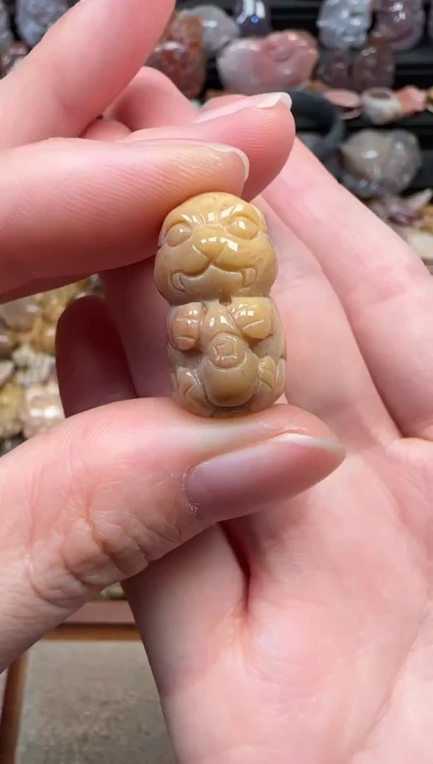 颈饰未镶嵌硅化珊瑚（珊瑚玉）044