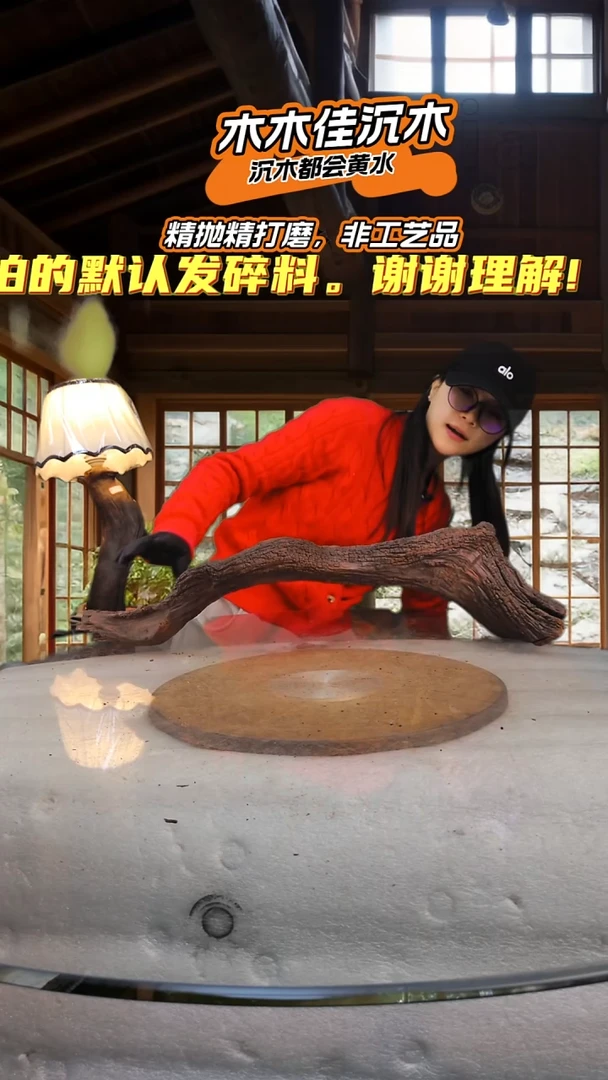 云*木木佳沉木鱼缸造景-383