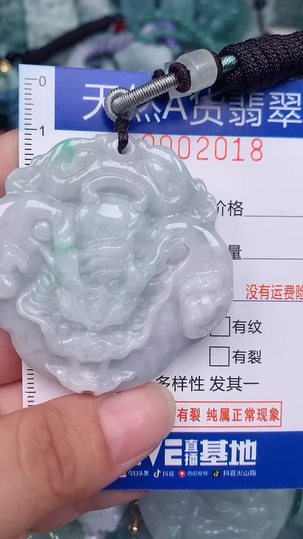 翡翠未镶嵌颈饰...0002018