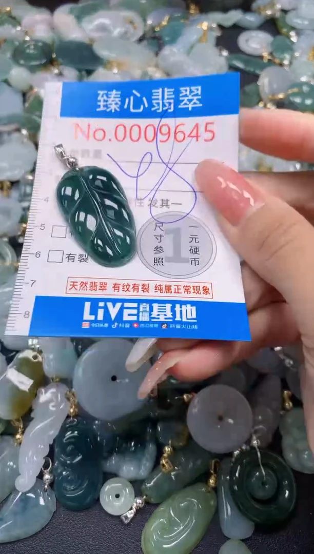 翡翠未镶嵌颈饰9645