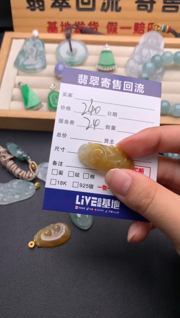 翡翠未镶嵌颈饰10137551