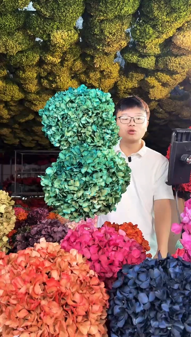 224  山前小麦 · 荷兰进口 永生大叶绣球 2枝（蓝绿）