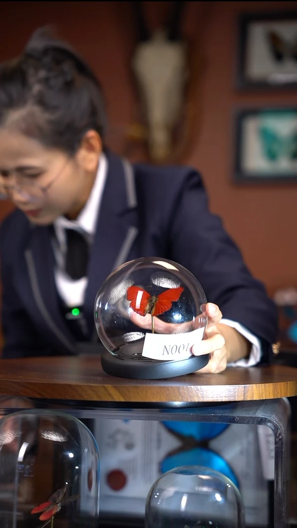 N001   血漪蛱蝶  玻璃球