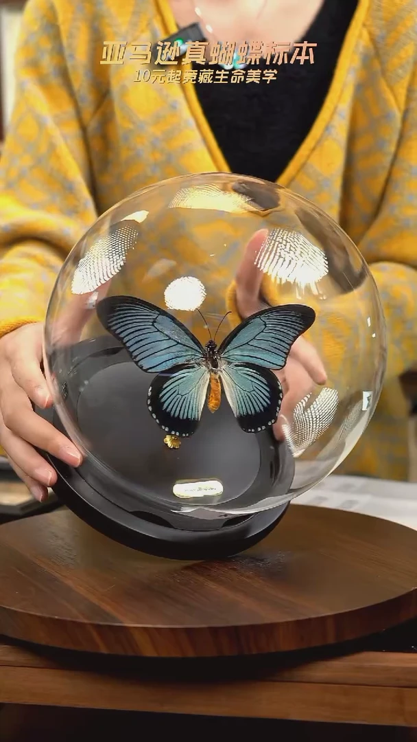 波浪德凤蝶玻璃球款