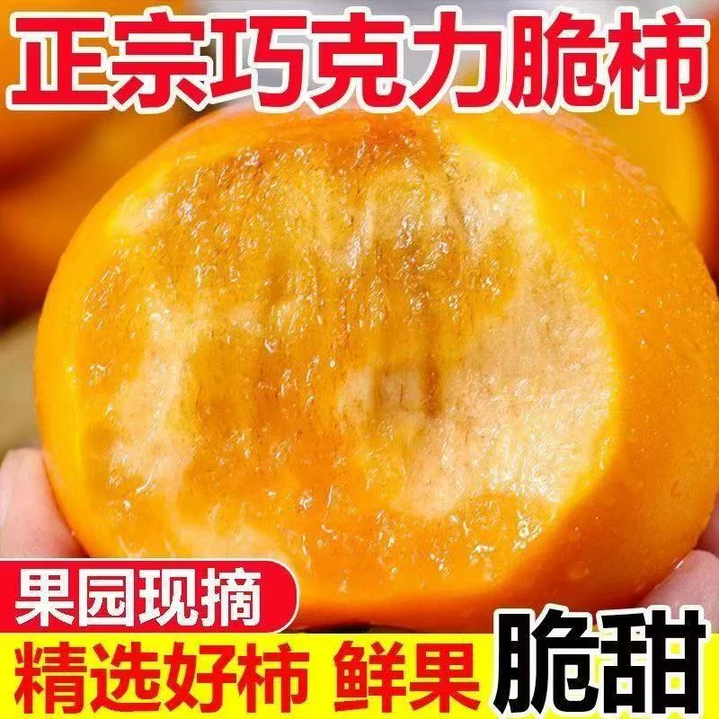 山西阳丰巧克力脆柿子当季新鲜水果整箱5斤时令红大甜硬柿子包邮Y