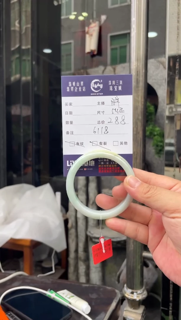 未镶嵌手镯翡翠W 54正圈 6118