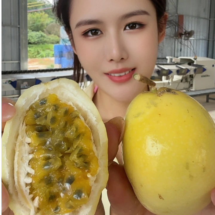 百香果正宗钦蜜9号黄金百香果香甜多汁当季水果产地直发