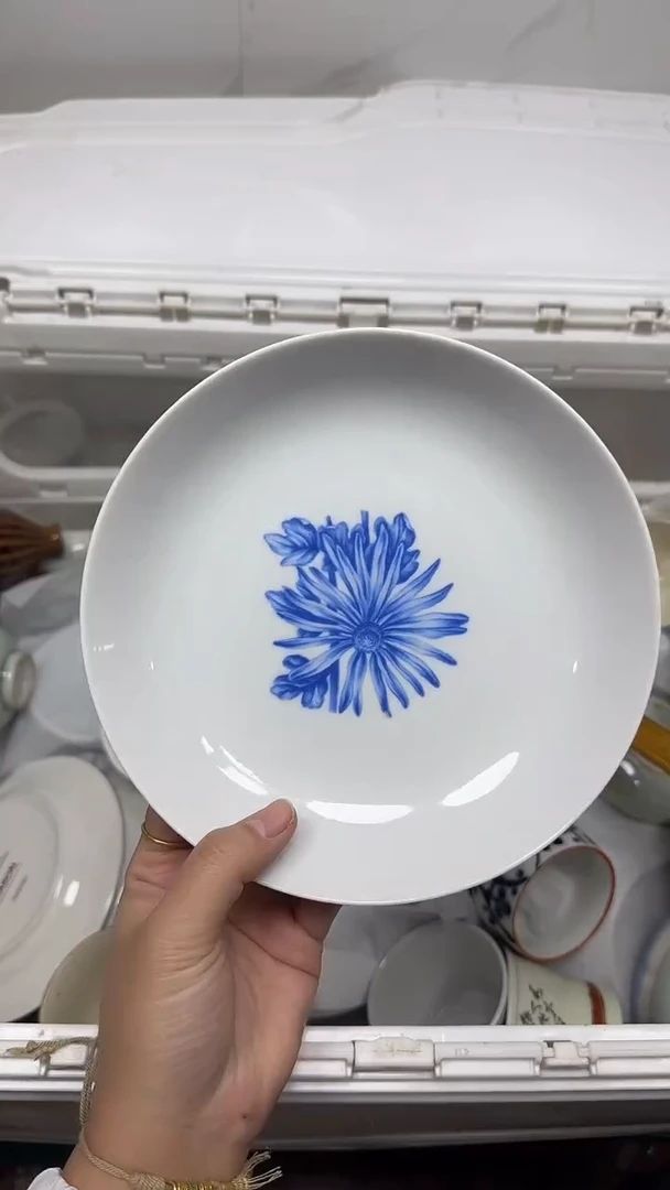 【闪购商品】223回流瓷器默认微瑕，18.8包邮