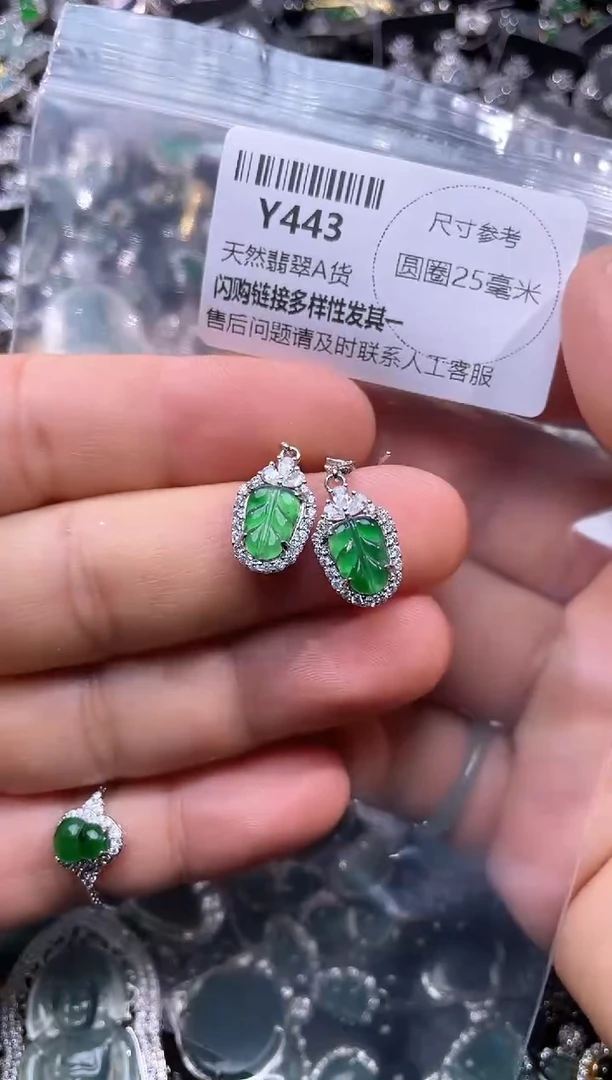 【闪购商品】翡翠颈饰未镶嵌Y443耳钩