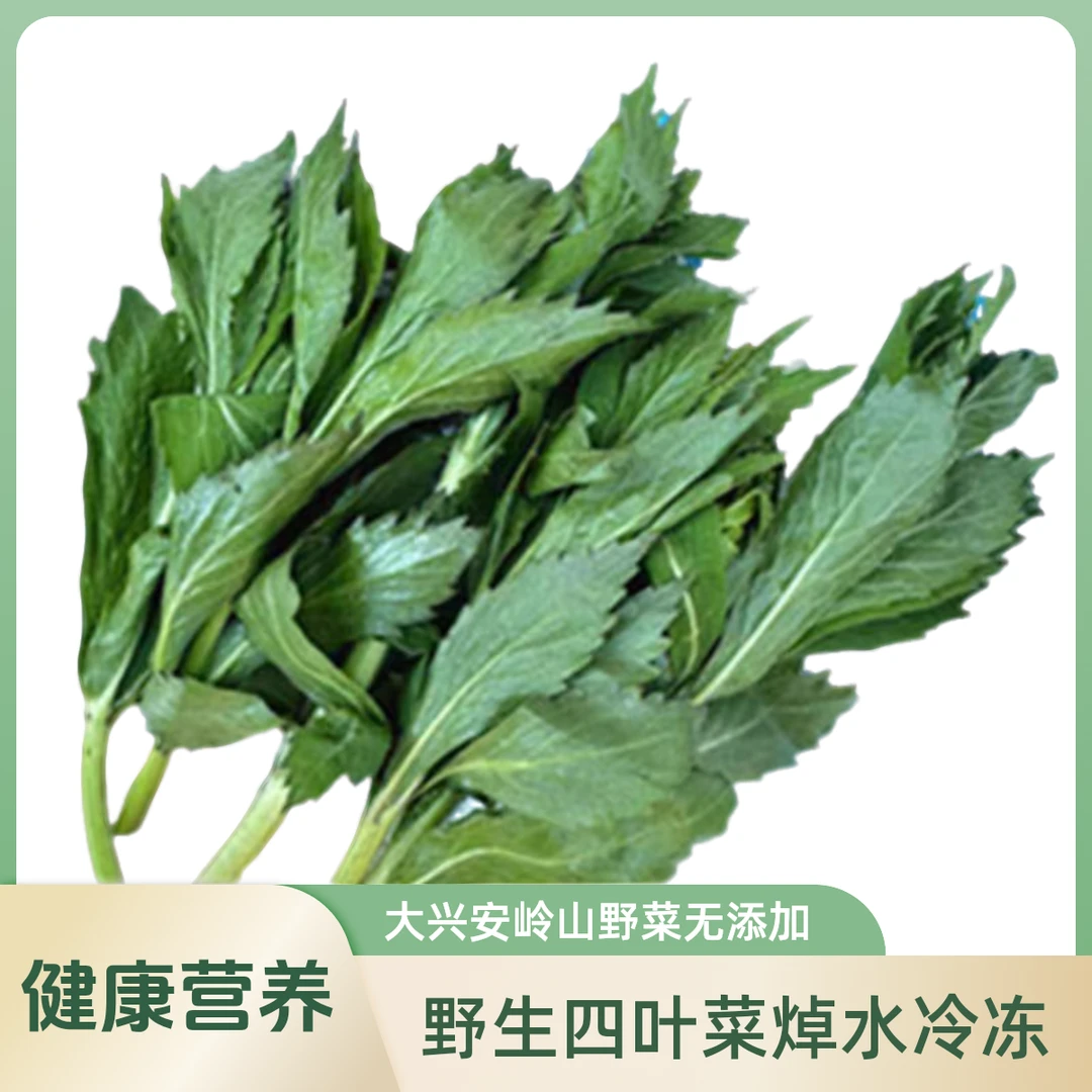 大兴安岭速冻野生四叶菜山野菜无添加森林采摘焯水冷冻500克/袋