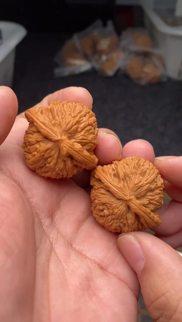 把件文玩核桃b03号39尺白狮子