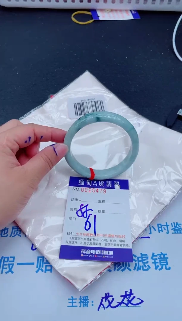 未镶嵌手镯翡翠0