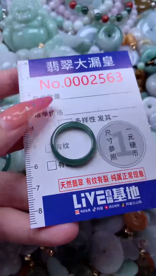 翡翠未镶嵌吊坠(不含链)2563