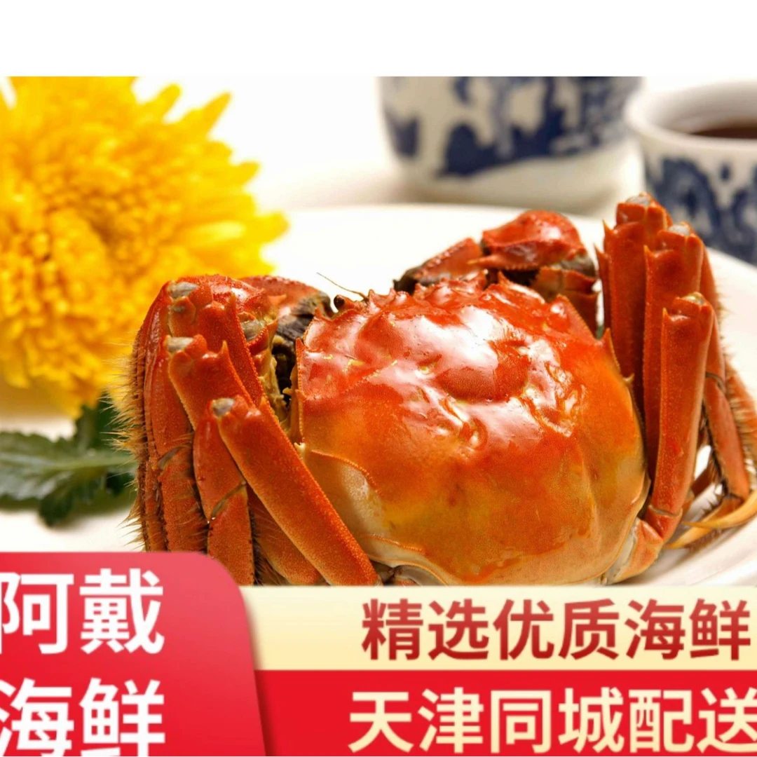 【活蟹】大闸蟹母蟹 母蟹一只2.0-2.3两