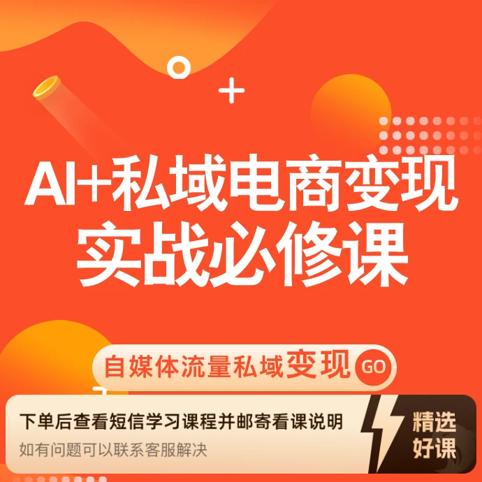 AI+私域电商(大课)(留意短信解锁课程)