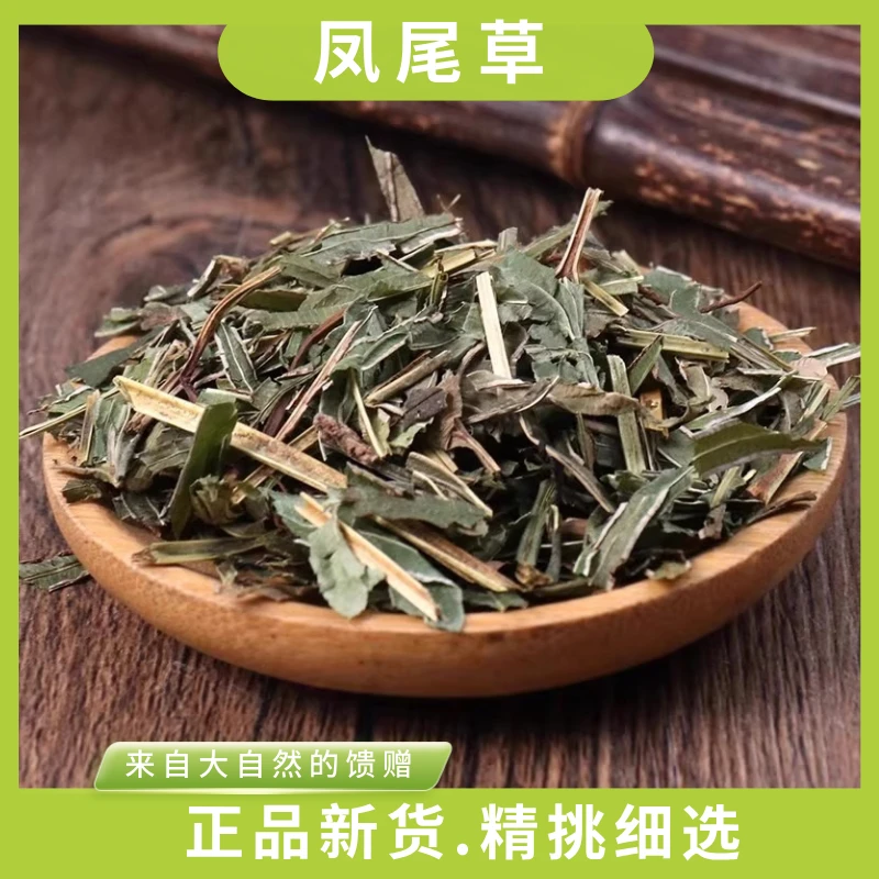 北京同仁堂正宗精选新鲜散装中国大陆产地凤尾栀子泡水专用中药材