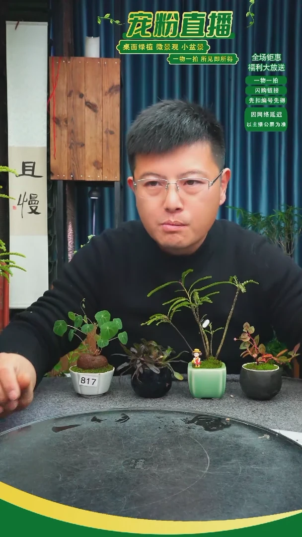 无花朵W****8苔藓微景观817号