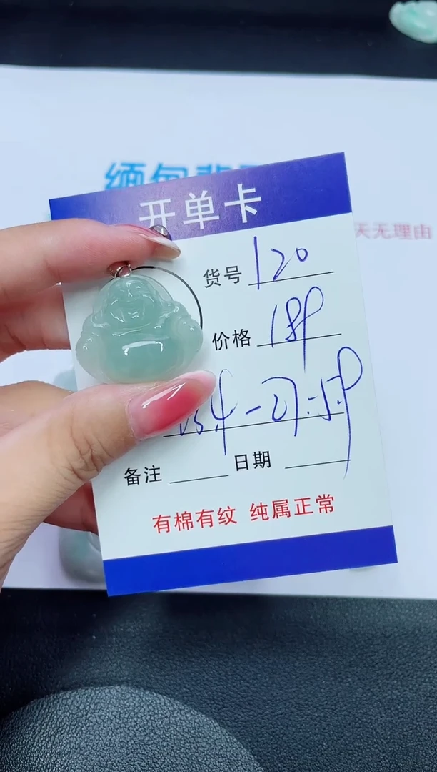 翡翠未镶嵌吊坠(赠链)120