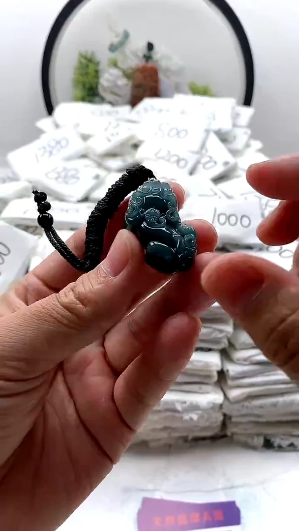 翡翠未镶嵌颈饰貔貅y