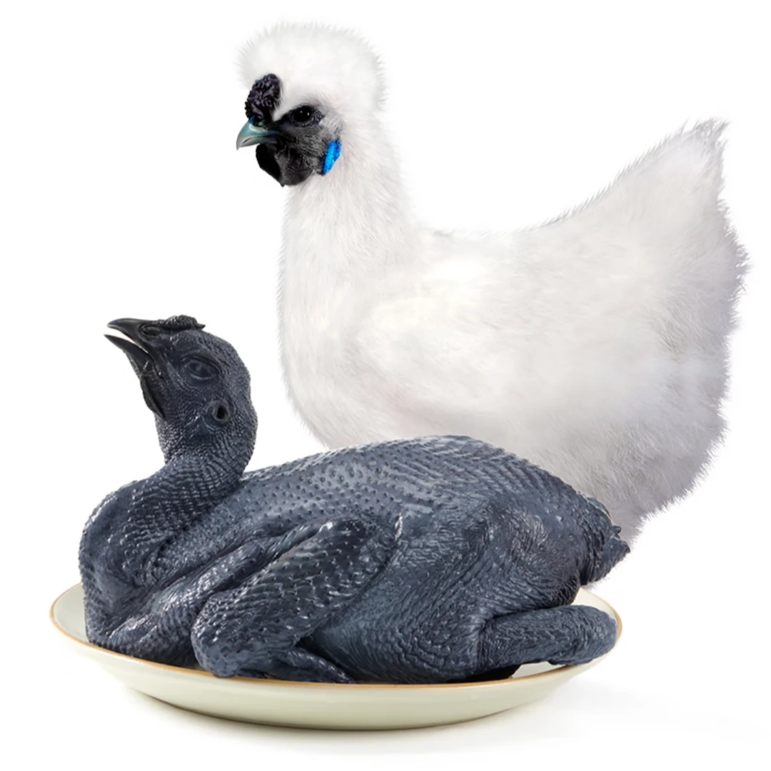 泰和白凤乌鸡整鸡发货溜达鸡散养鸡