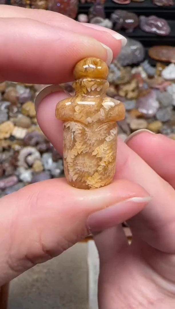 颈饰未镶嵌硅化珊瑚（珊瑚玉）192