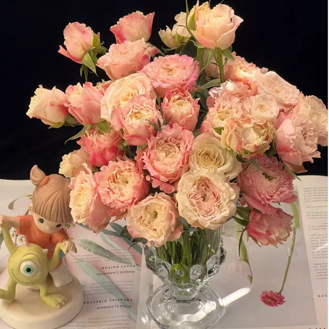 【一品花集】【乐悠】多头玫瑰10支