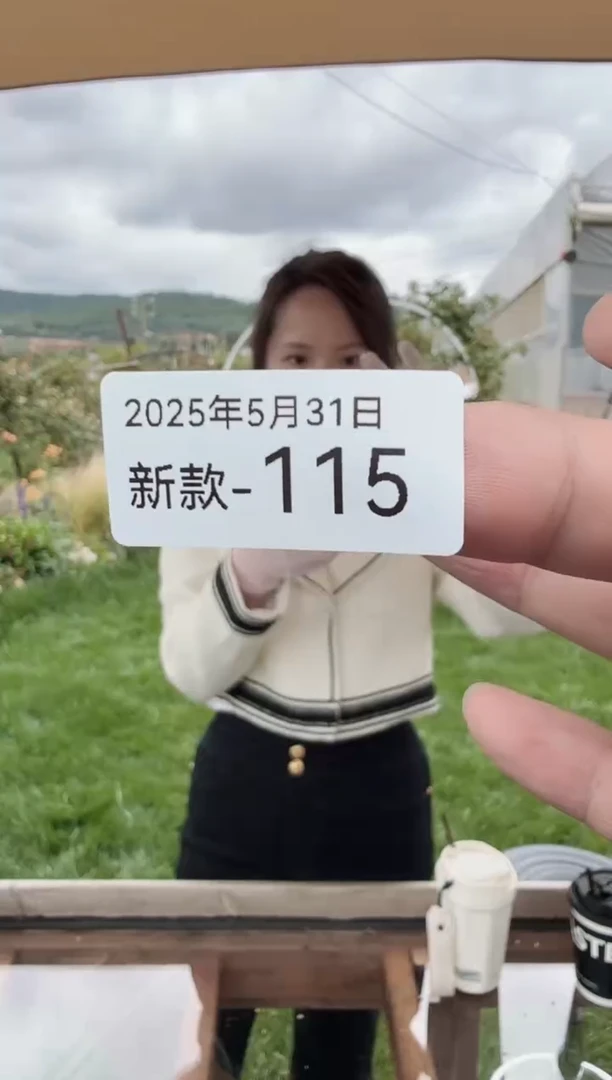 东云多肉园新款-115  2颗肉盲盒