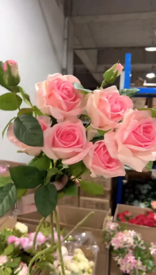 3枝粉色手感保湿圆多尔