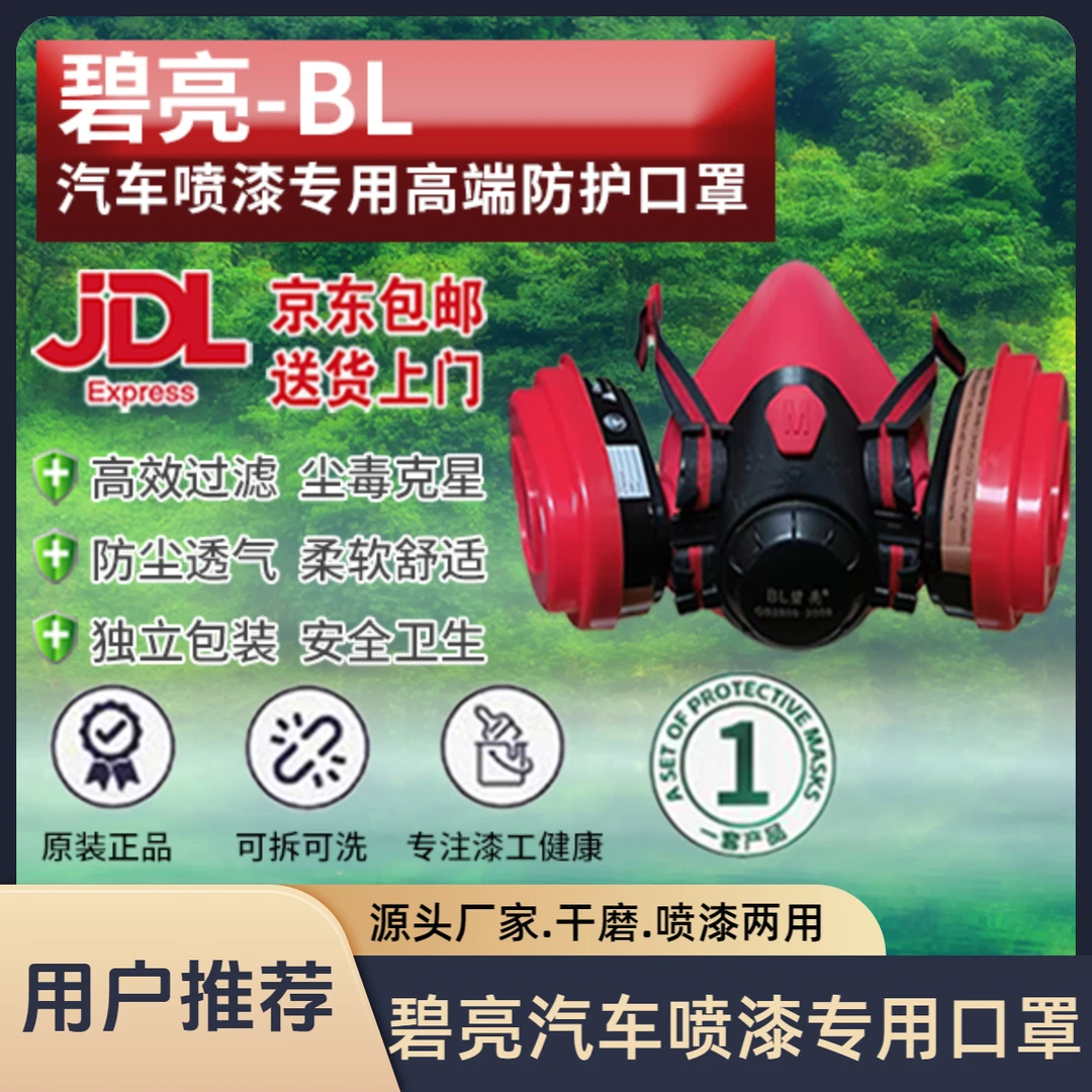 碧亮喷漆防护面具防尘防毒.口罩.高端活性炭盒.过滤棉6层加厚过滤